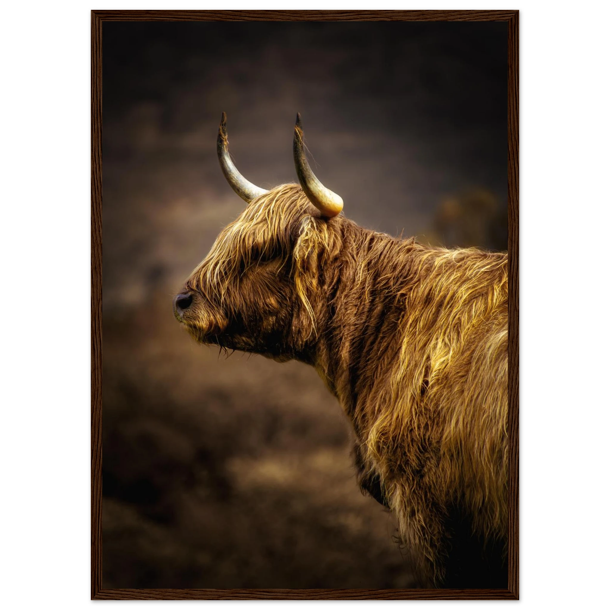 a6574432-6c14-4bb4-92f1-11c13b55d7e3