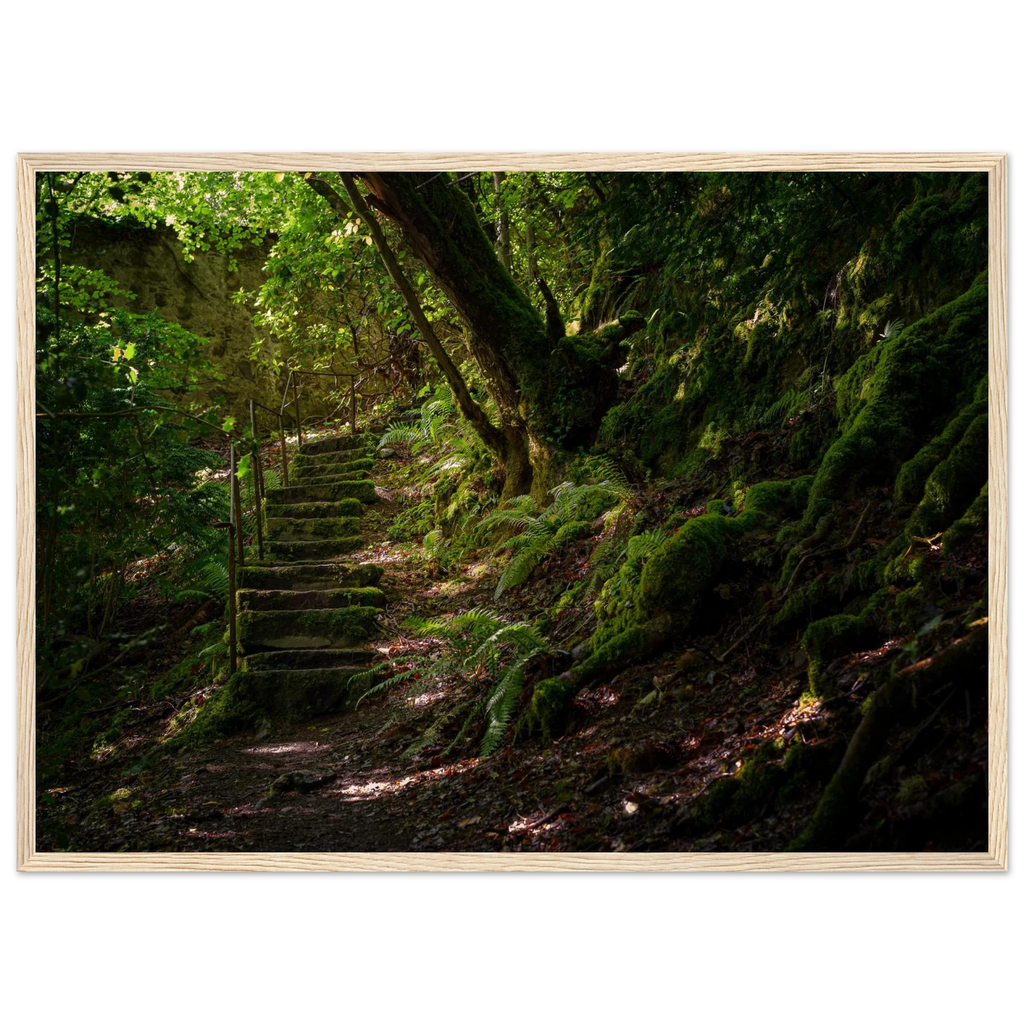 Stone steps at Invergarry Castle near Loch Oich in
Scotland