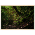 Stone steps at Invergarry Castle near Loch Oich in
Scotland