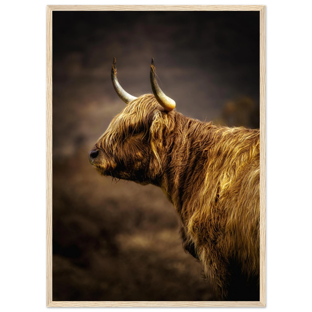 Highland cow beside Loch Awe in the Scottish
Highlands