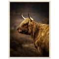 Highland cow beside Loch Awe in the Scottish
Highlands