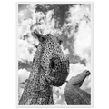 Black and white photograph of The Kelpies sculptures
in Falkirk, Scotland